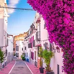 Vitbanus *